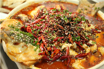 學習川菜去哪里好