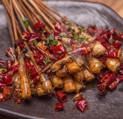 學做美食小吃應該去哪