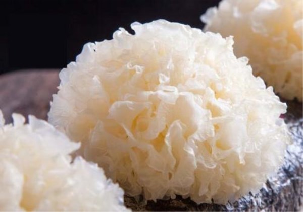 冬季是攝生的好時節 多吃四種常見白色食物 冬季是攝生的好時節 多吃四種常見白色食物