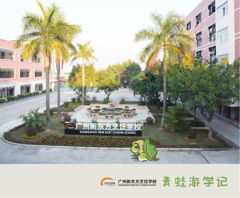 風靡全球的旅行青蛙來廣州新東方啦!(附上全套珍藏明信片) 風靡全球的旅行青蛙來廣州新東方啦!(附上全套珍藏明信片)