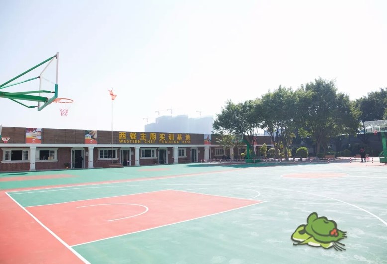 風靡全球的旅行青蛙來廣州新東方啦!(附上全套珍藏明信片) 風靡全球的旅行青蛙來廣州新東方啦!(附上全套珍藏明信片)